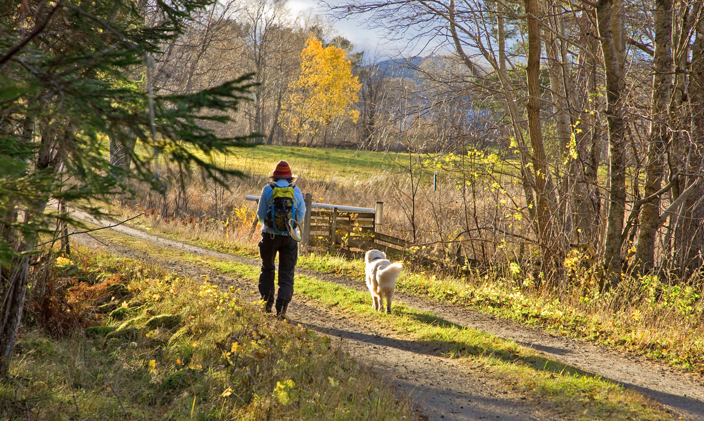 201102a-vei.jpg