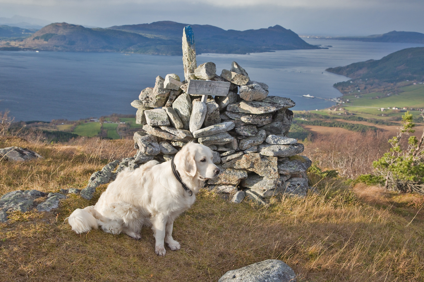 201102g-varde2.jpg