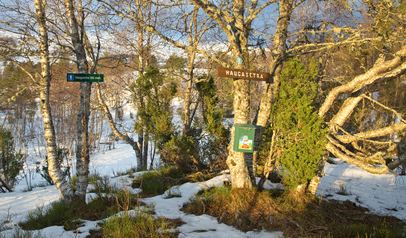 201209a-Haugasetra.jpg
