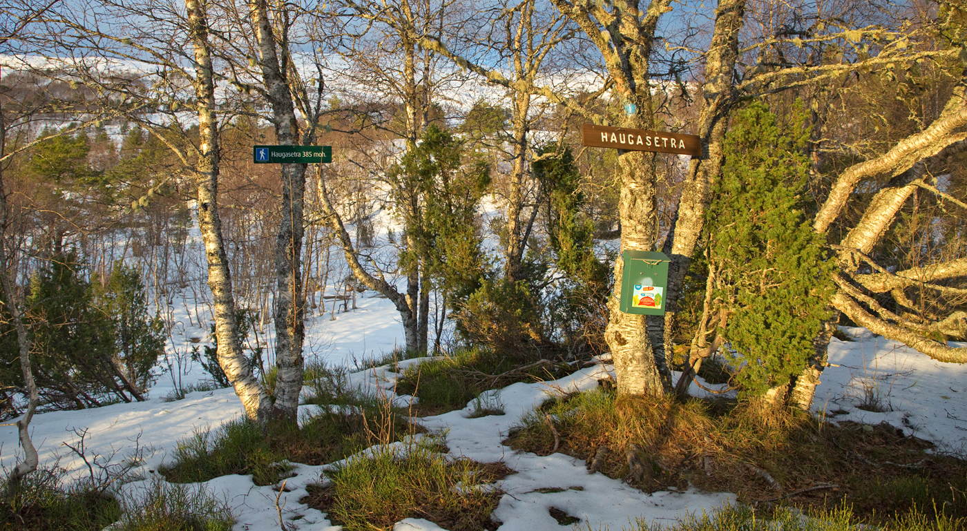 201209h-skilt.jpg