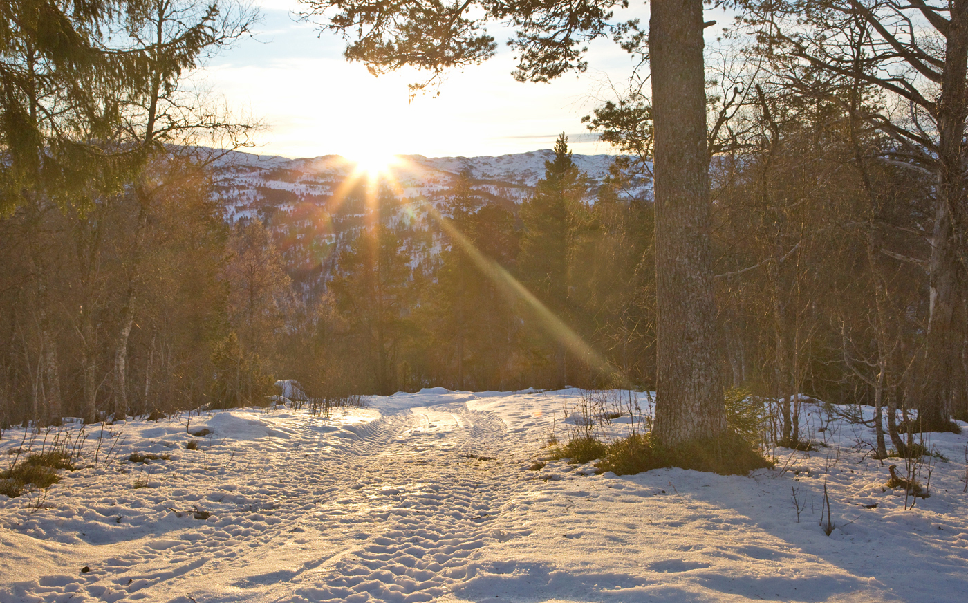 201218e-solstrålerr.jpg