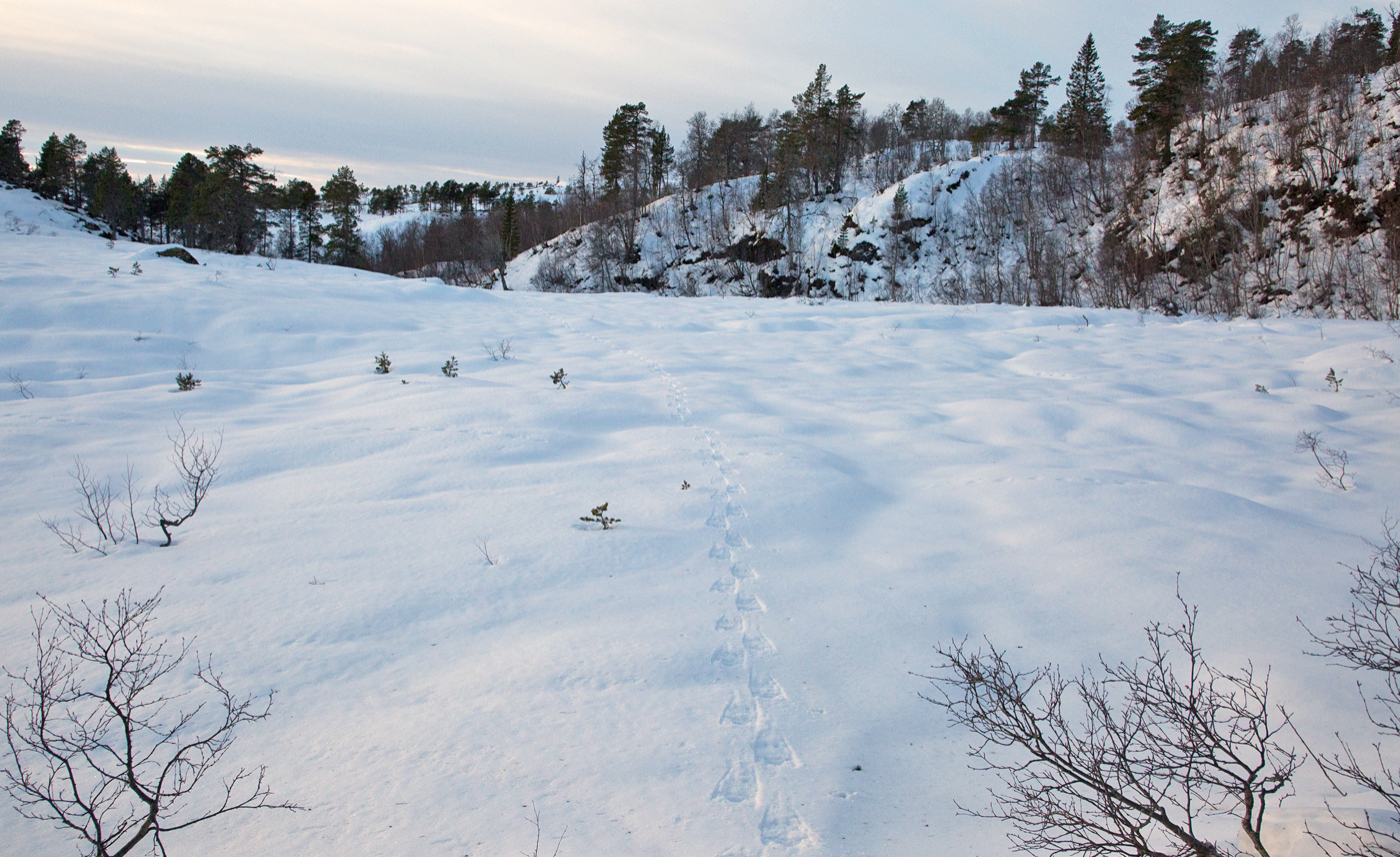 201218h-spor.jpg