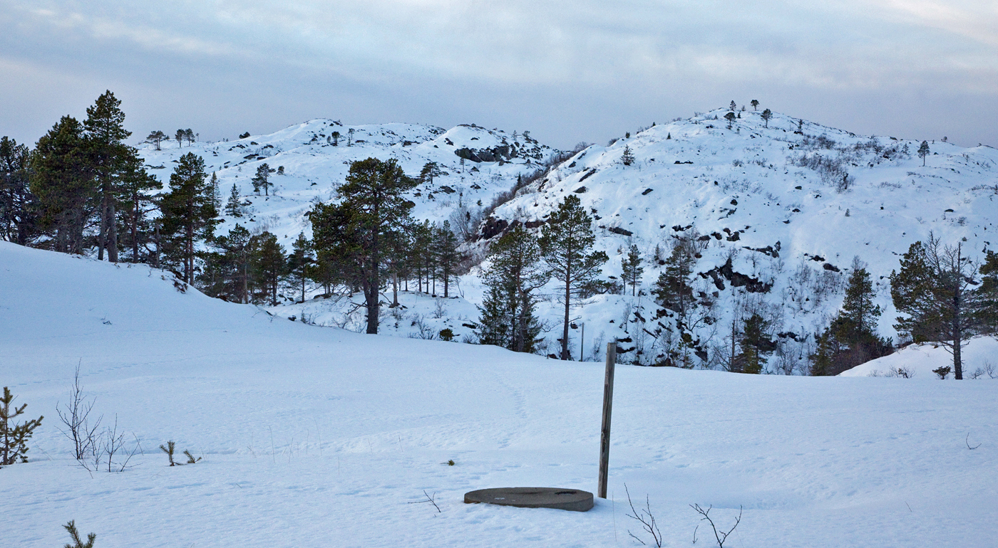 201218j-terreng.jpg