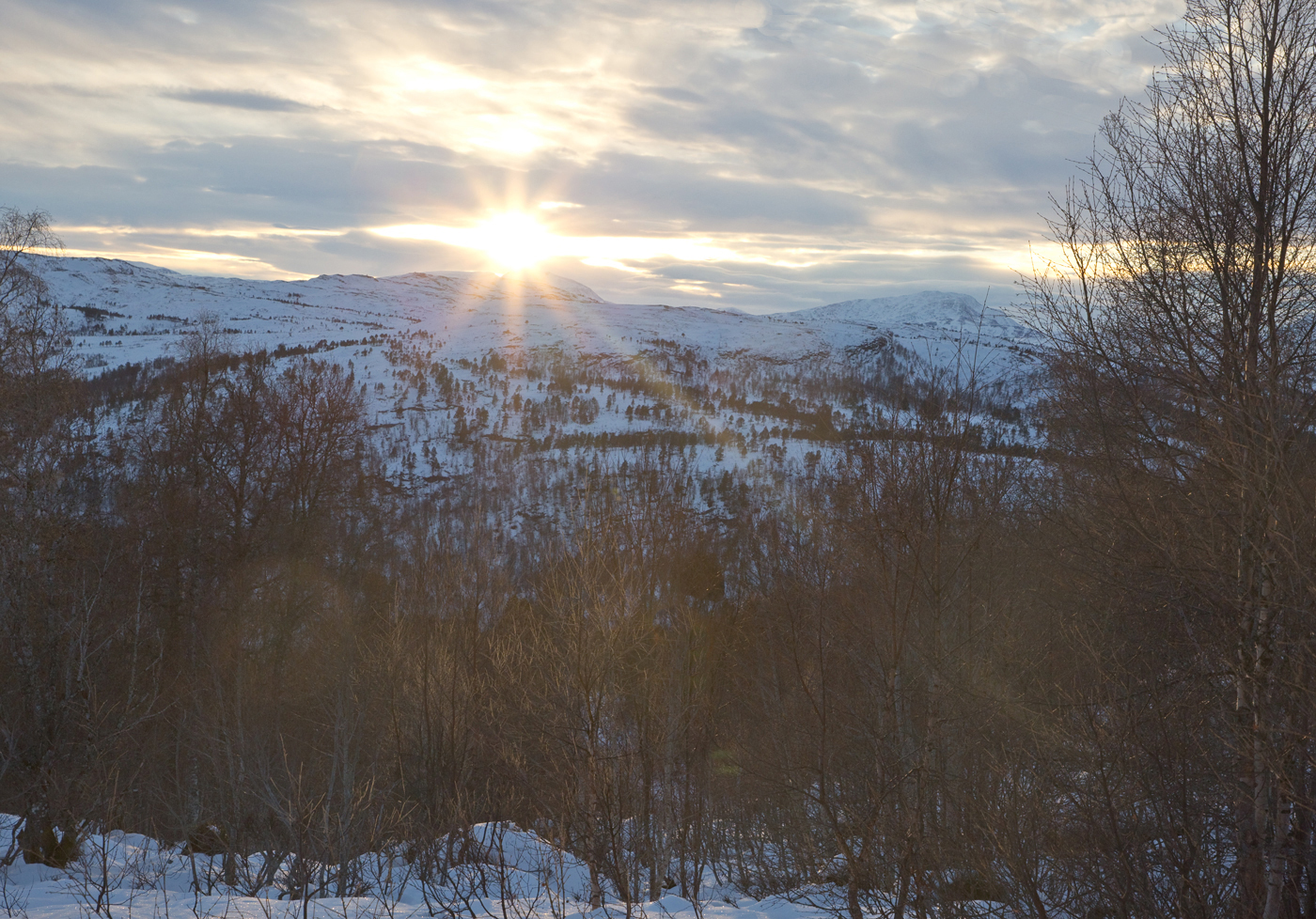 201218n-sola.jpg