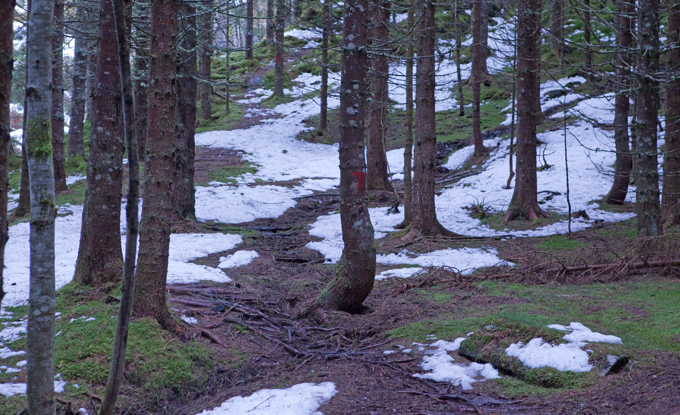 201221b-tursti.jpg