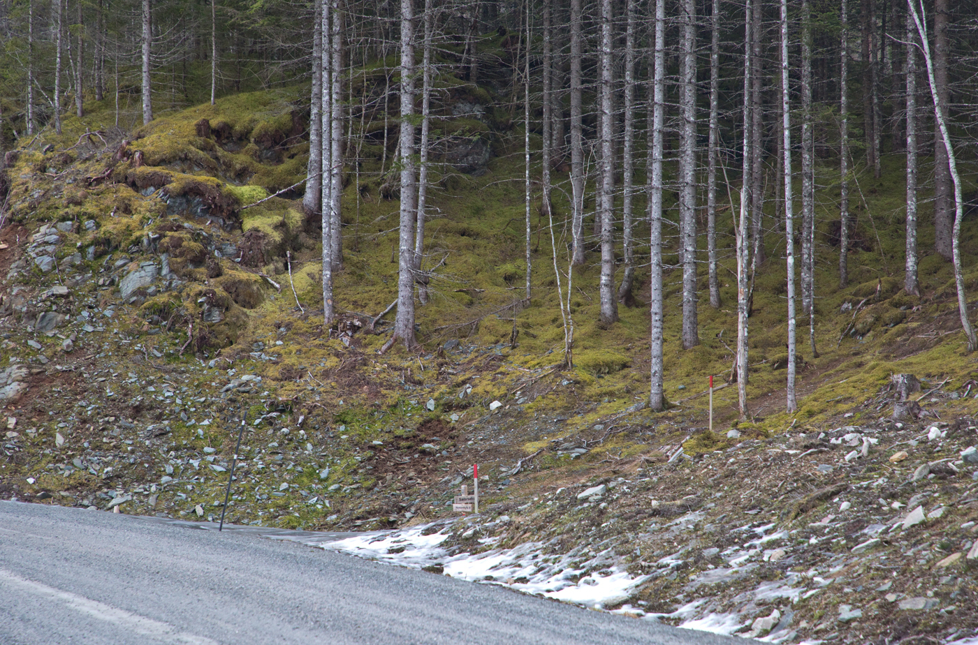 201221d-vei.jpg