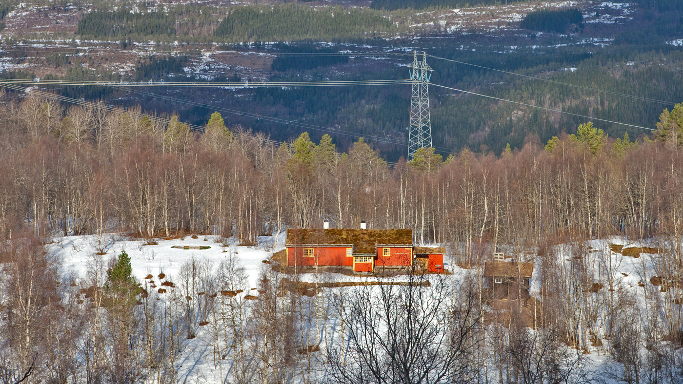 201221k-Blomlia.jpg