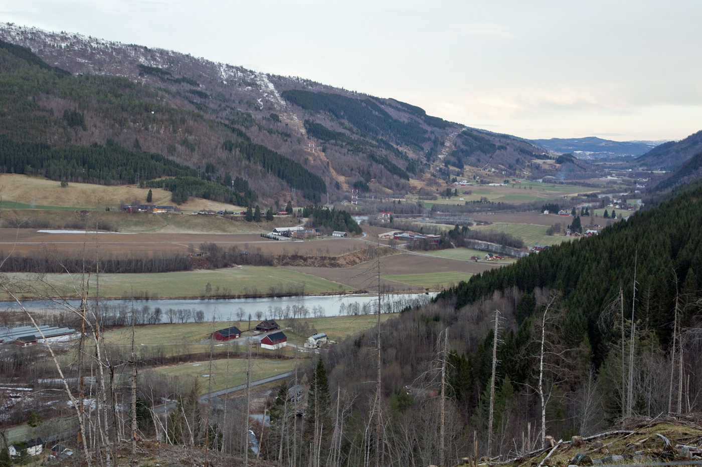 201221p-Rindal.jpg