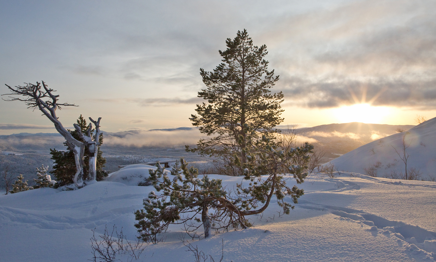 201225a-trimpost.jpg