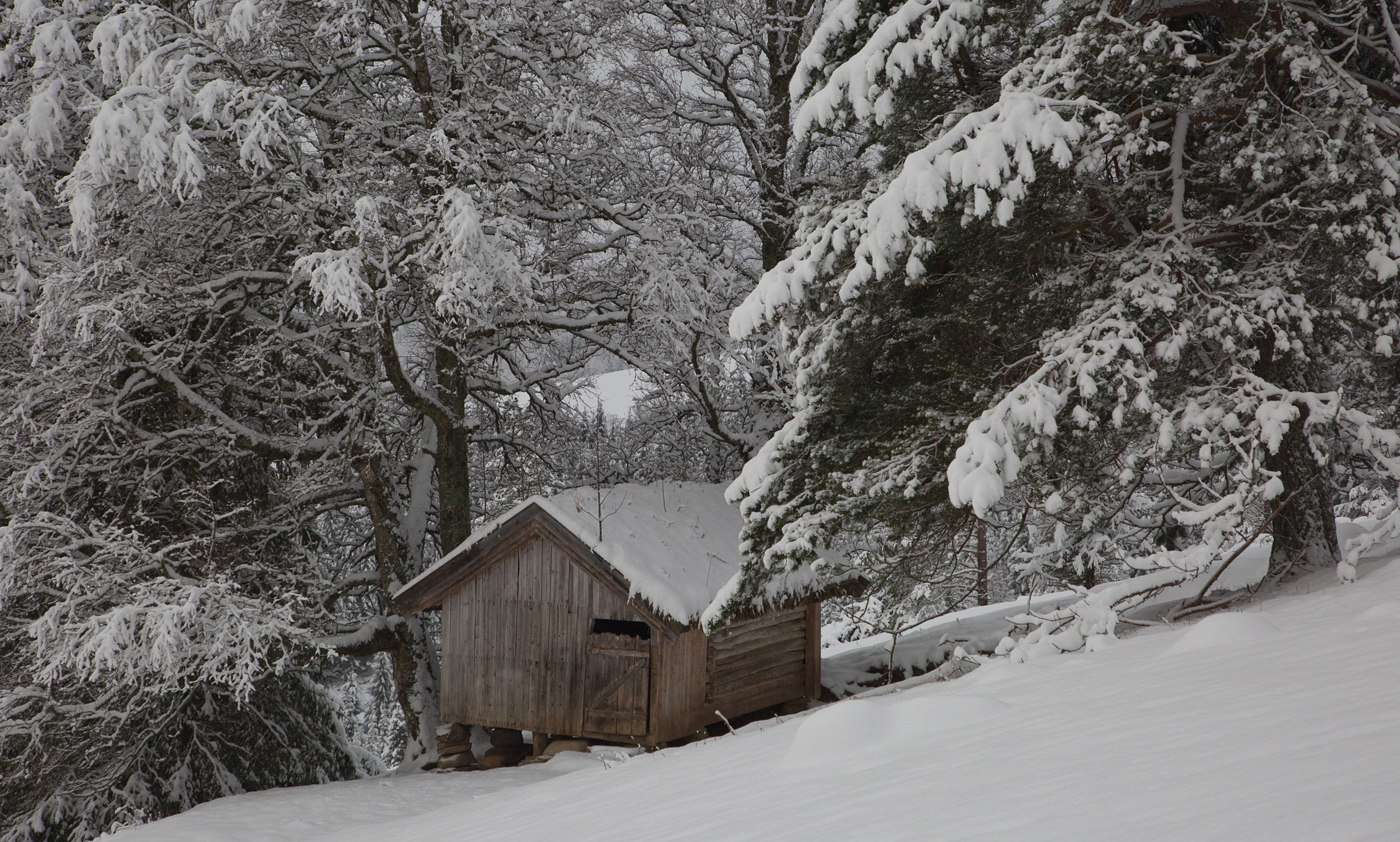 201225b-hus.jpg