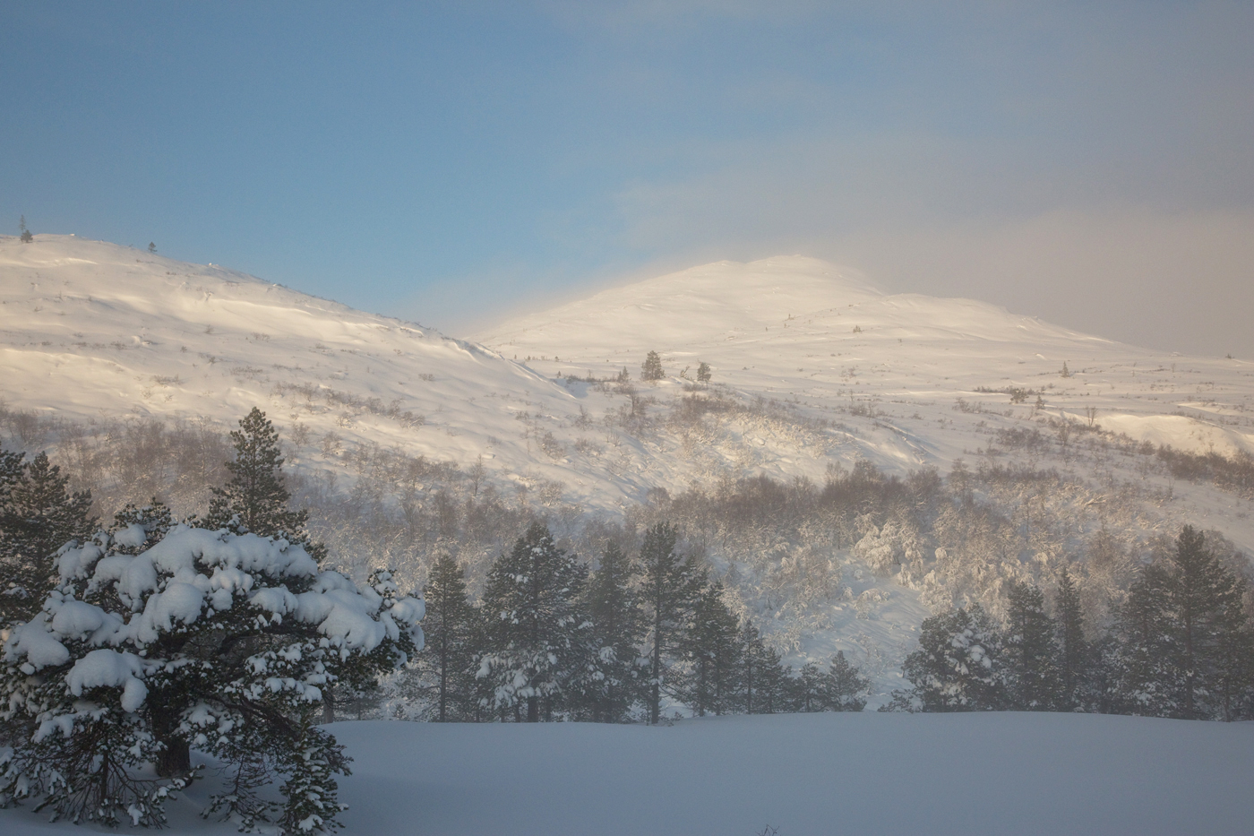 201225f-Høgfjellet.jpg