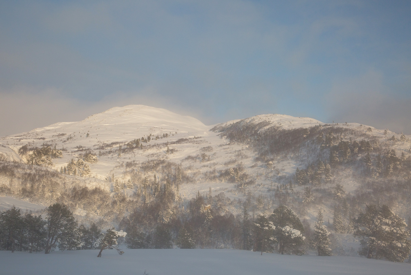 201225g-Storfjellet.jpg