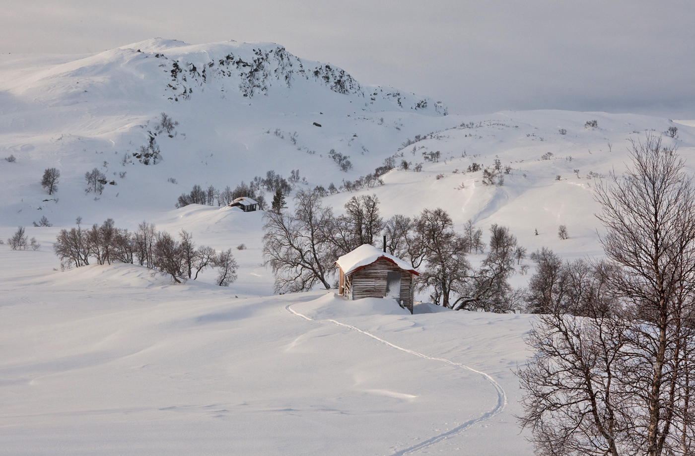 201225n-Trønsdalssetra.jpg