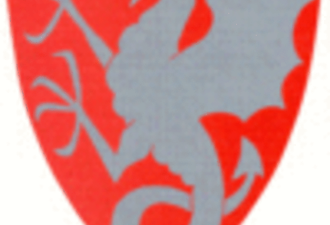 Kopi av Dragen i rødt og søv utg_100x124