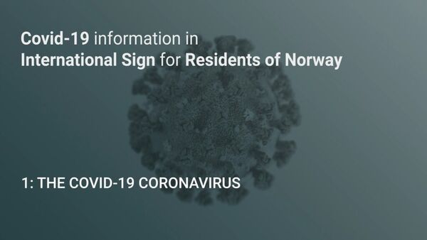 1-The-Covid-19-Coronavirus-0001-1024x576