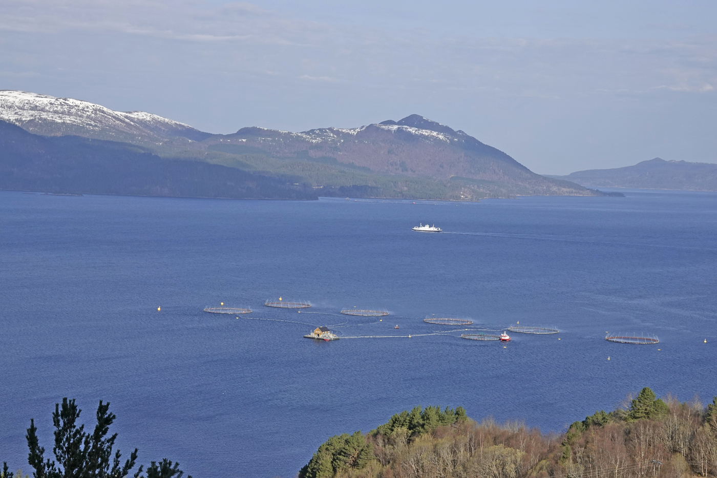 210420c-fjord.jpg