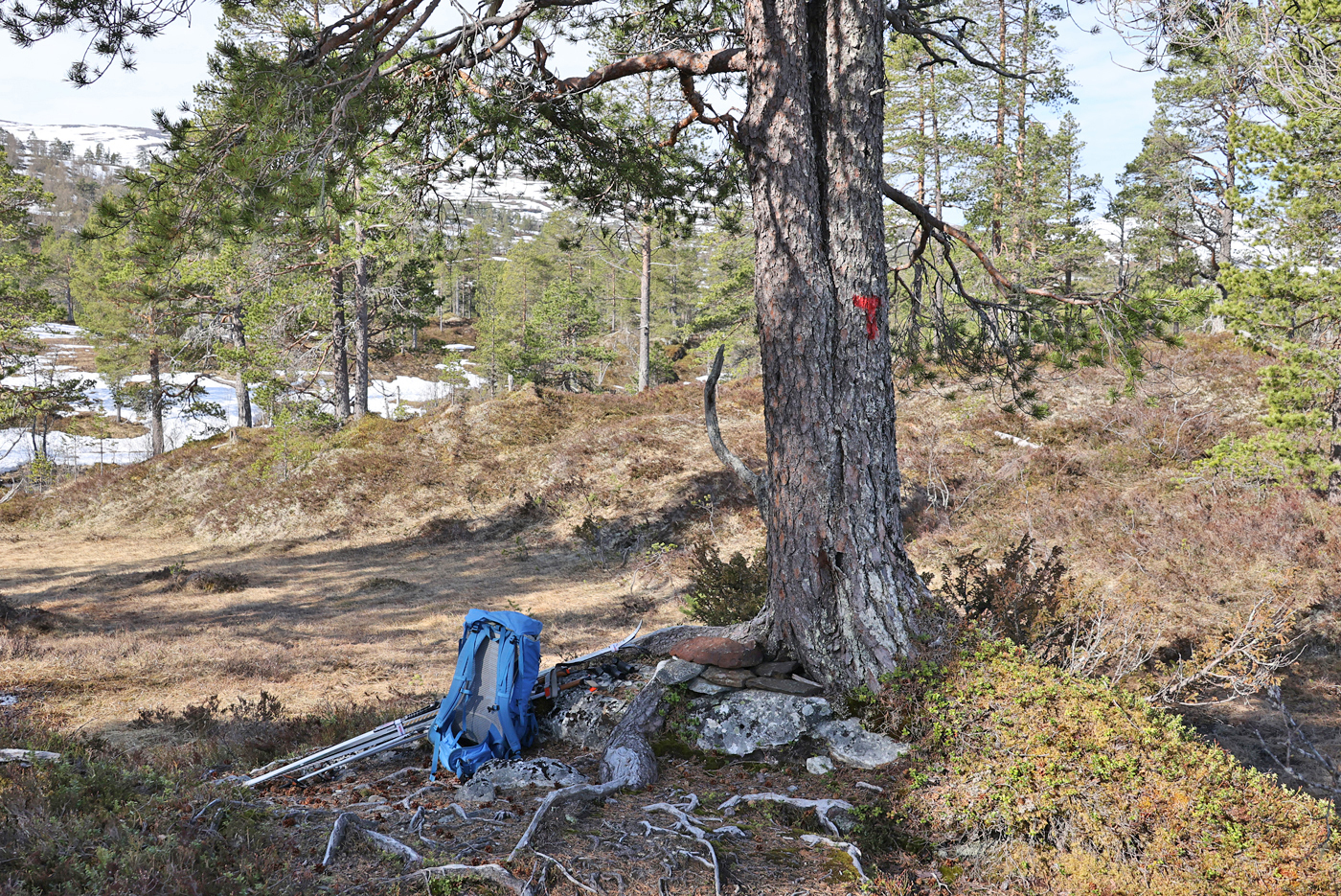 210522b-hvileplass.jpg