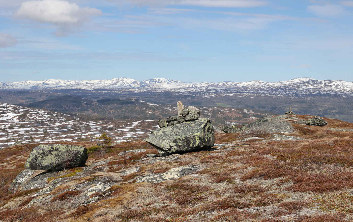 210522f-fjell.jpg