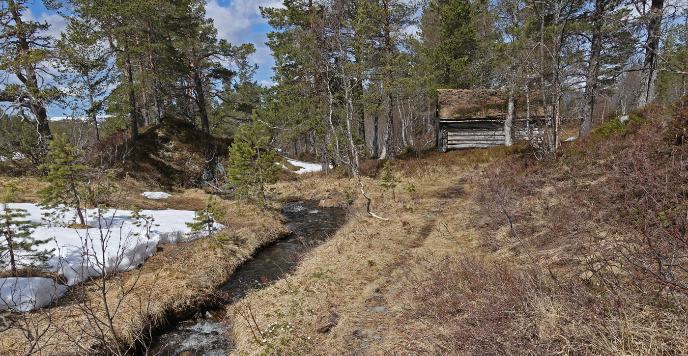 210522i-bekk.jpg