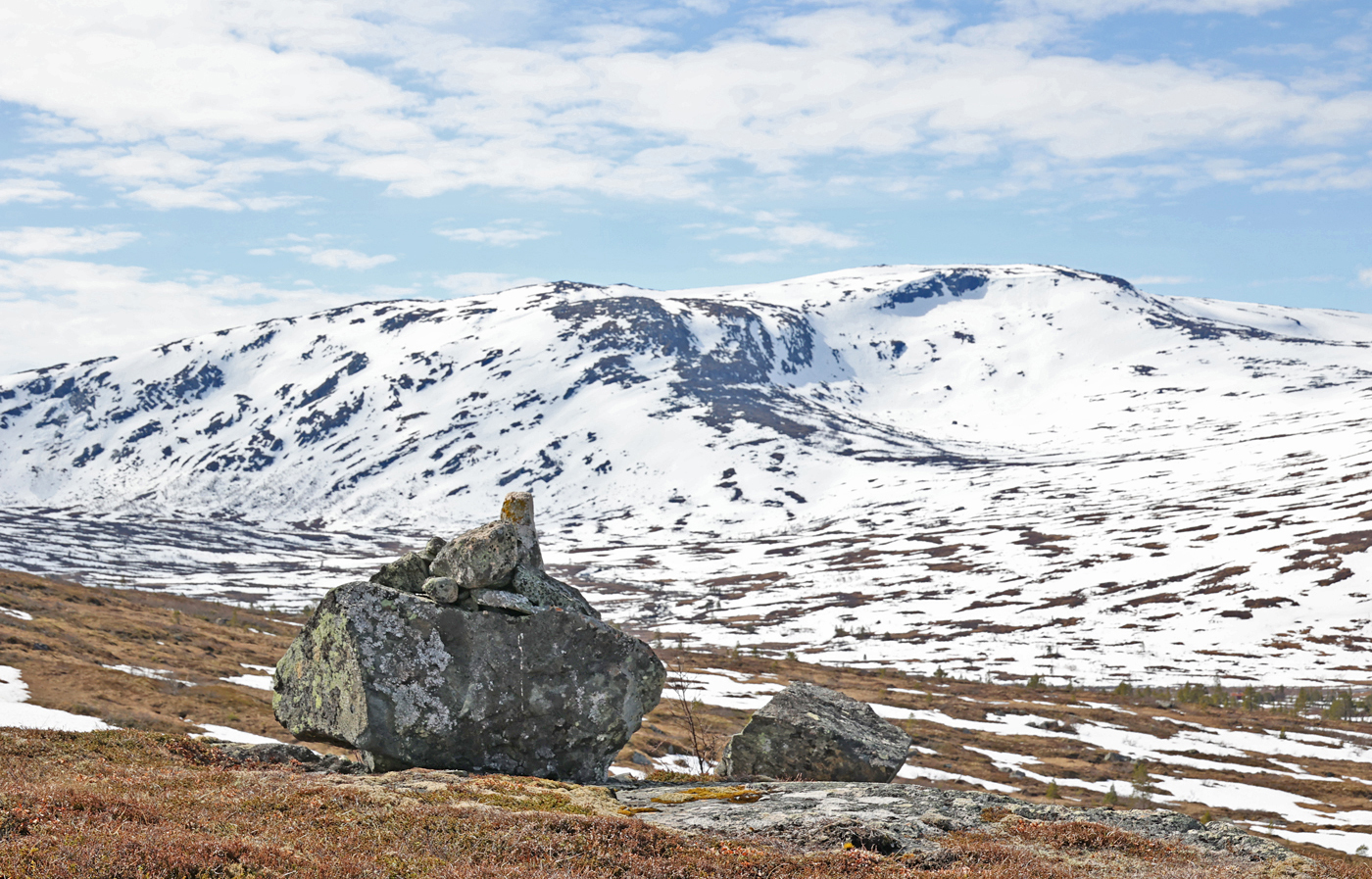 210522n-landskap.jpg