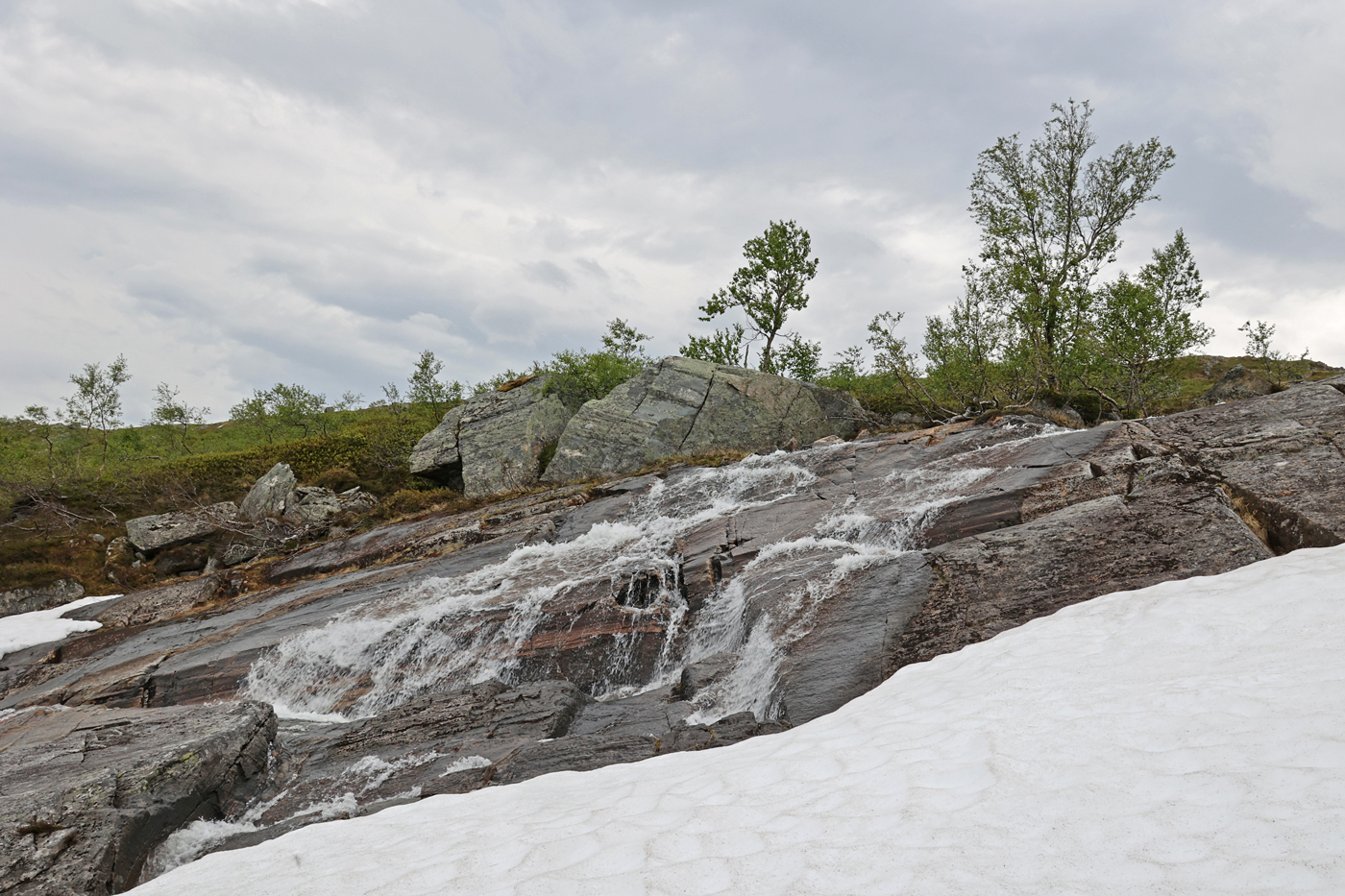 210617d-bekk.jpg