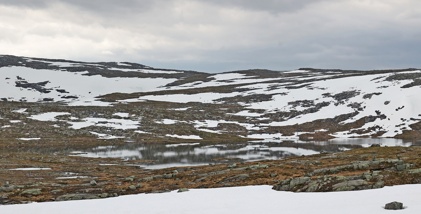 210617h-Skrommelv.jpg