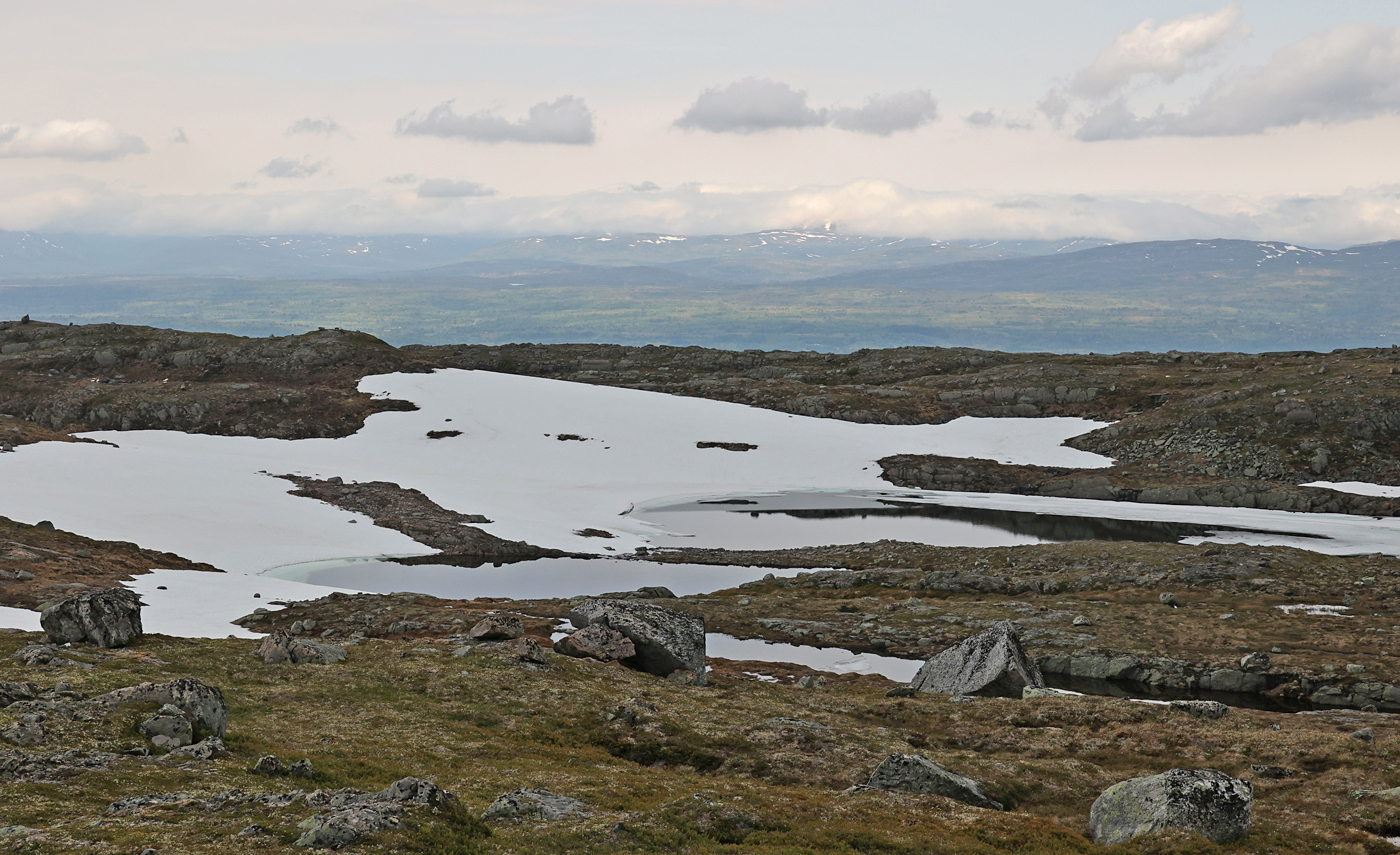 210617i-tjern.jpg