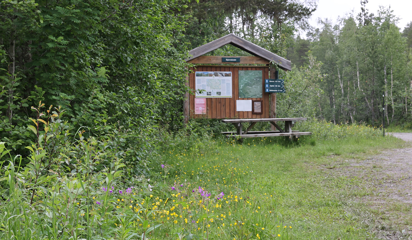 210624b-tavle.jpg