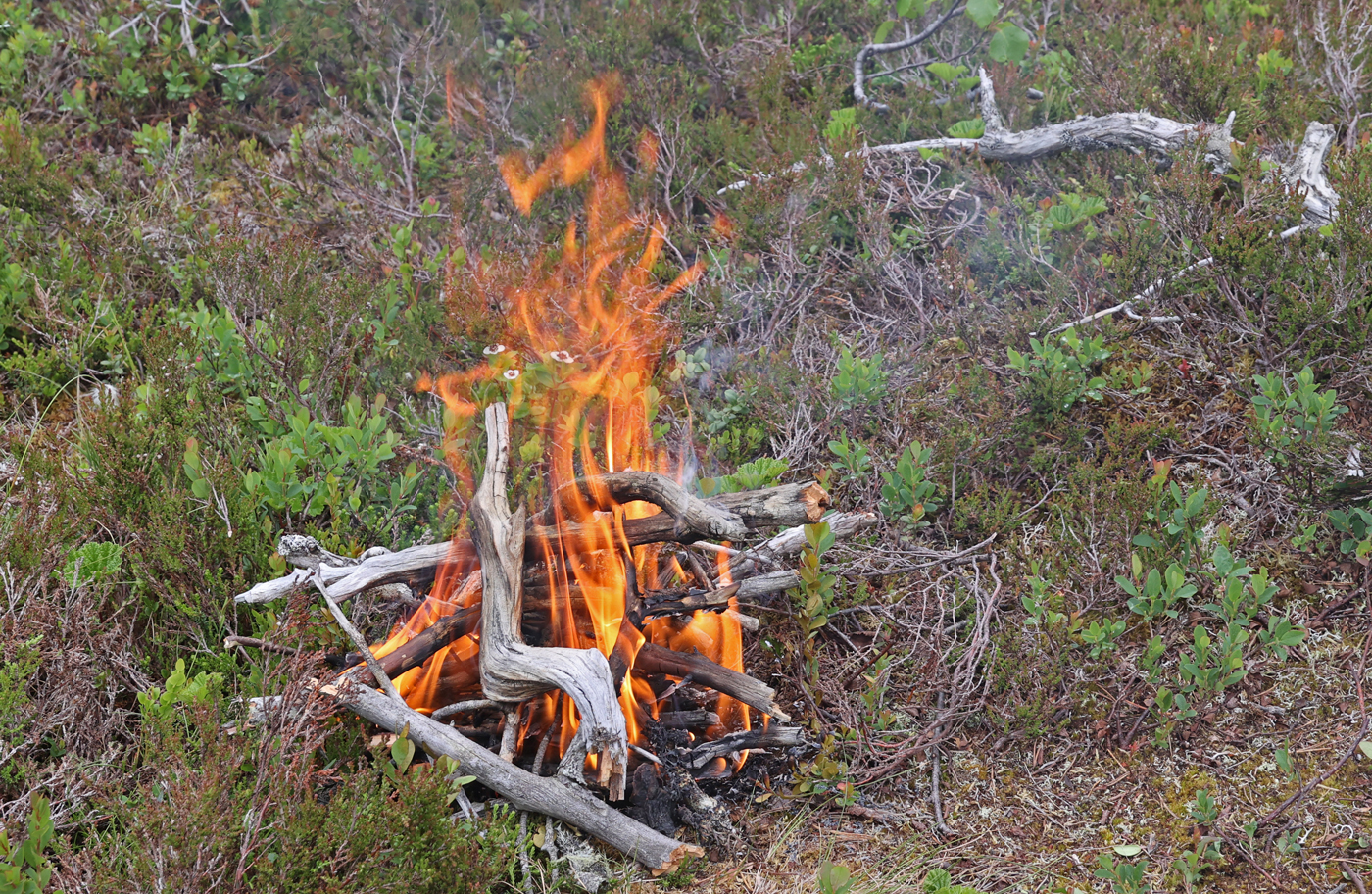 210624j-flamme.jpg