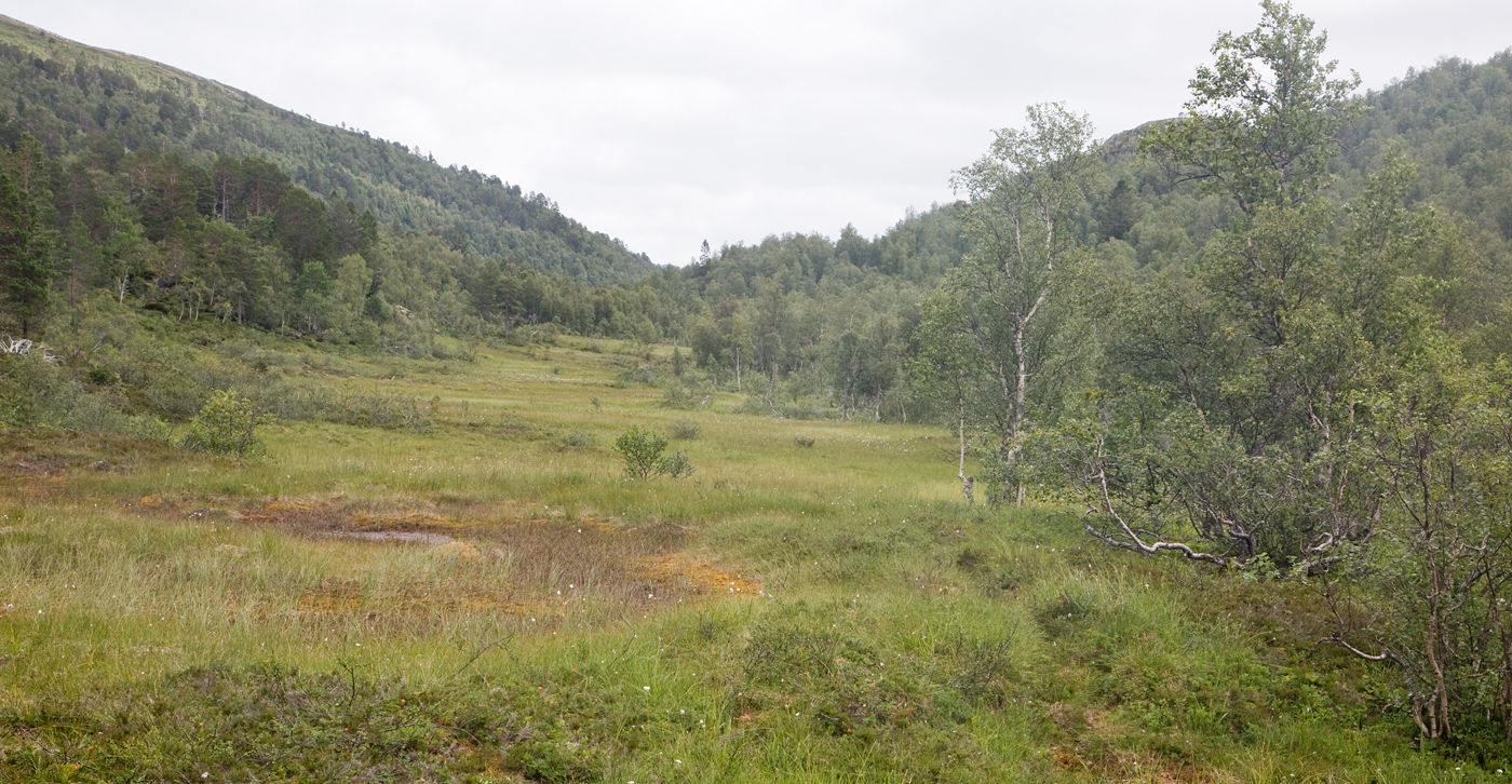 210730v-dalen.jpg