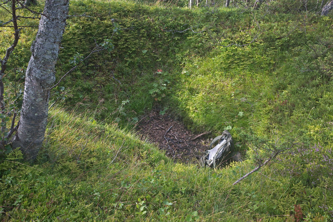 210807d-dyregrav.jpg