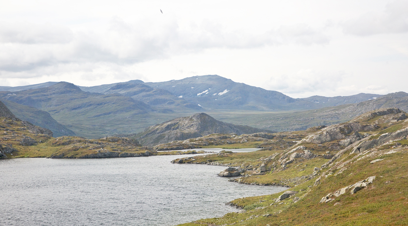 210807f-Duggurdskn.jpg