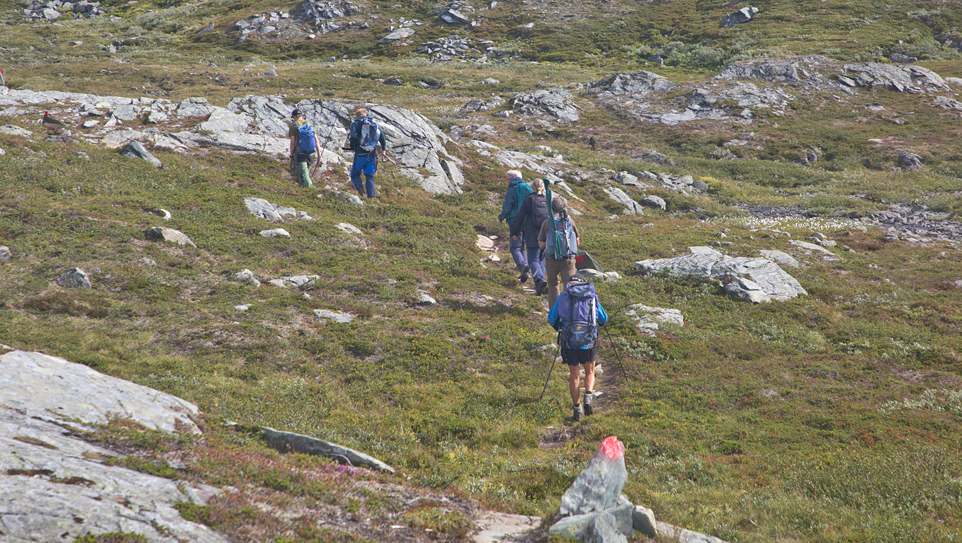 210807g-turgåere.jpg