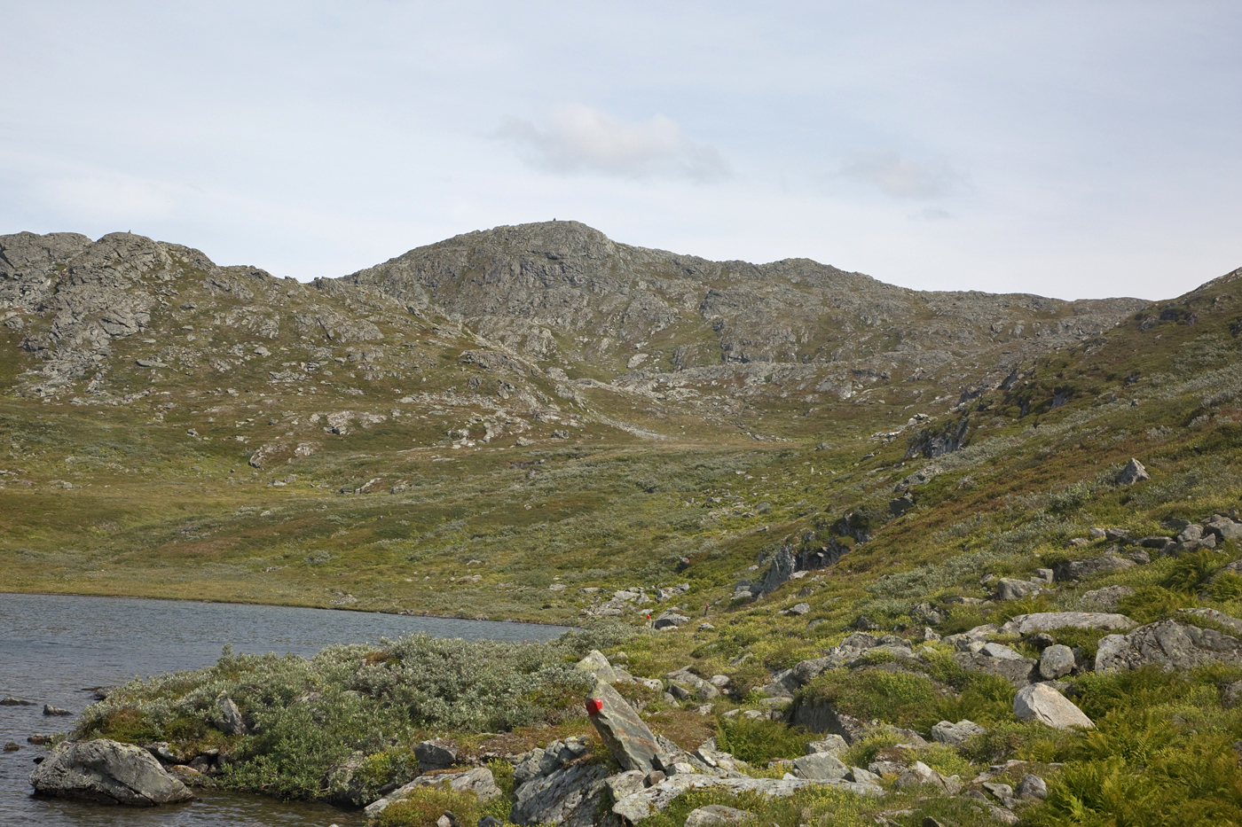 210807h-målet.jpg