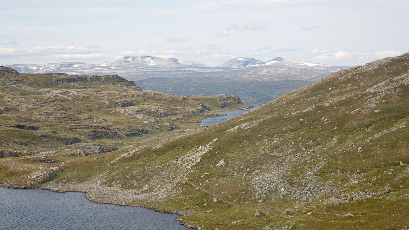 210807m-Svarthetta.jpg