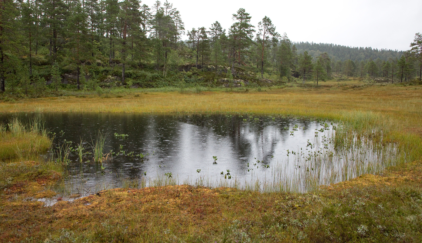 210814b-tjern.jpg