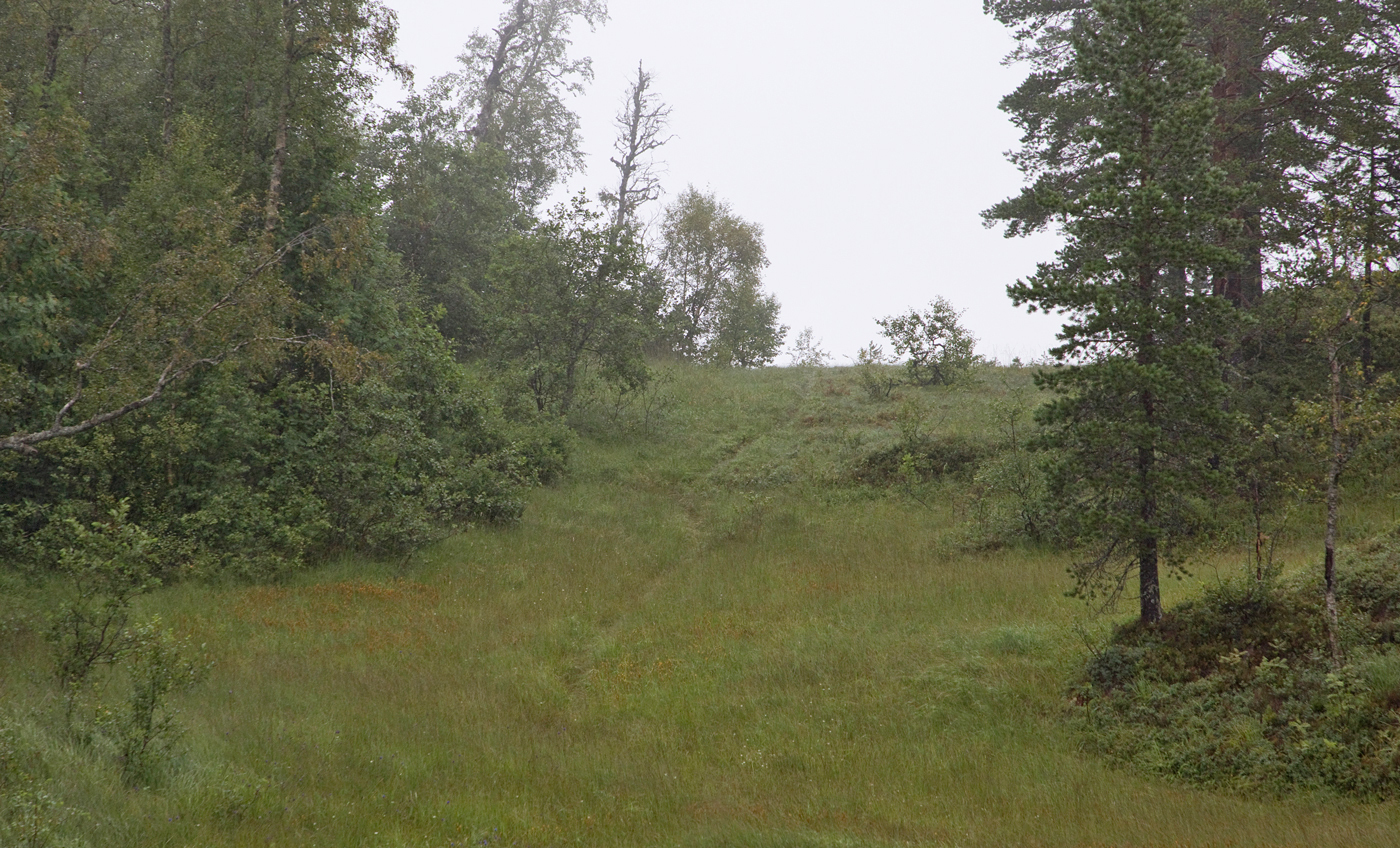 210814d-Gjøtet.jpg