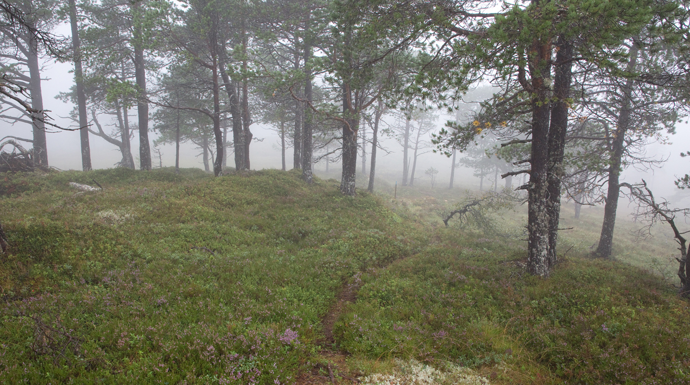 210814f-stien.jpg
