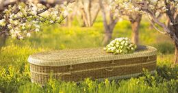 Eco Sustainable Funerals