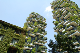 Eco Sustainable Architects & Interior Designers