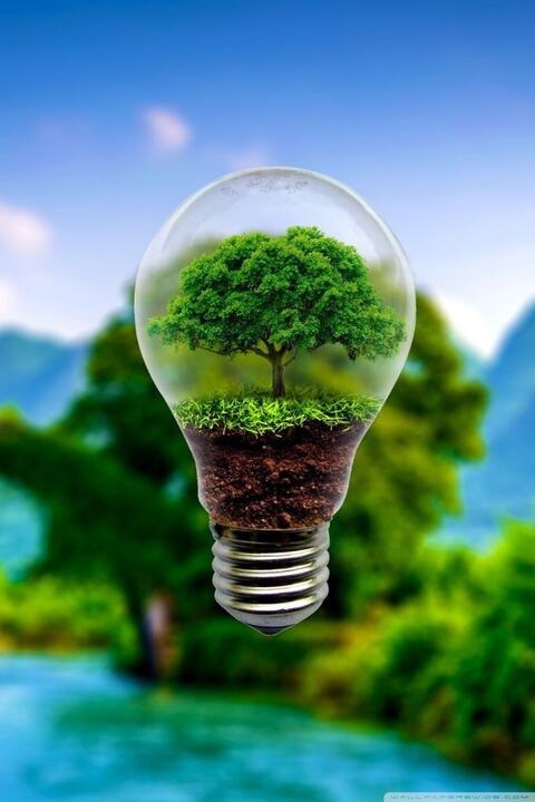 - 13 - Business Ideas Seeking Investment