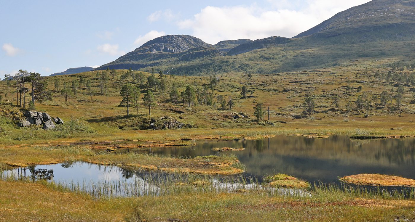 210822d-tjern.jpg