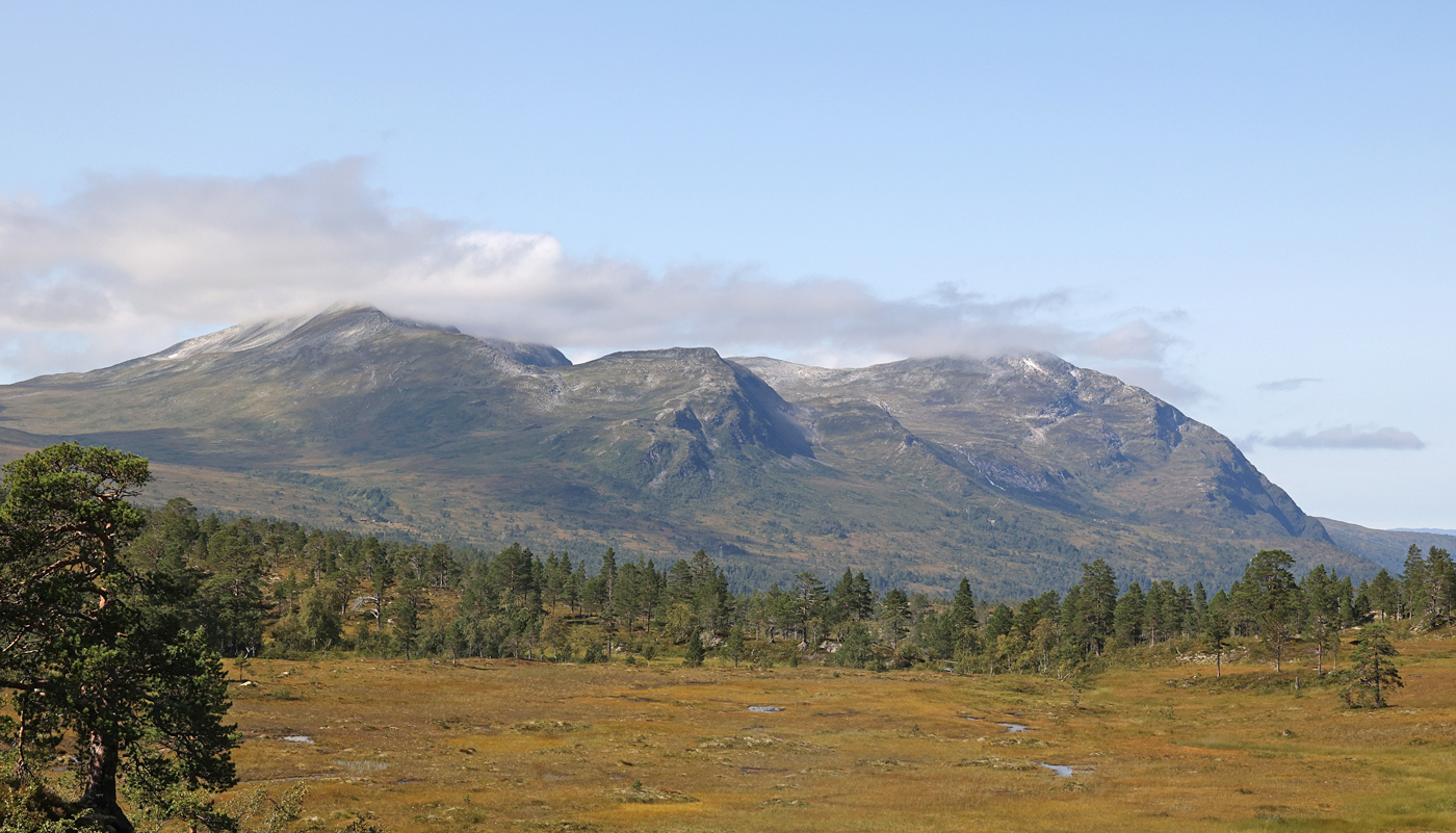 210822e-fjell.jpg
