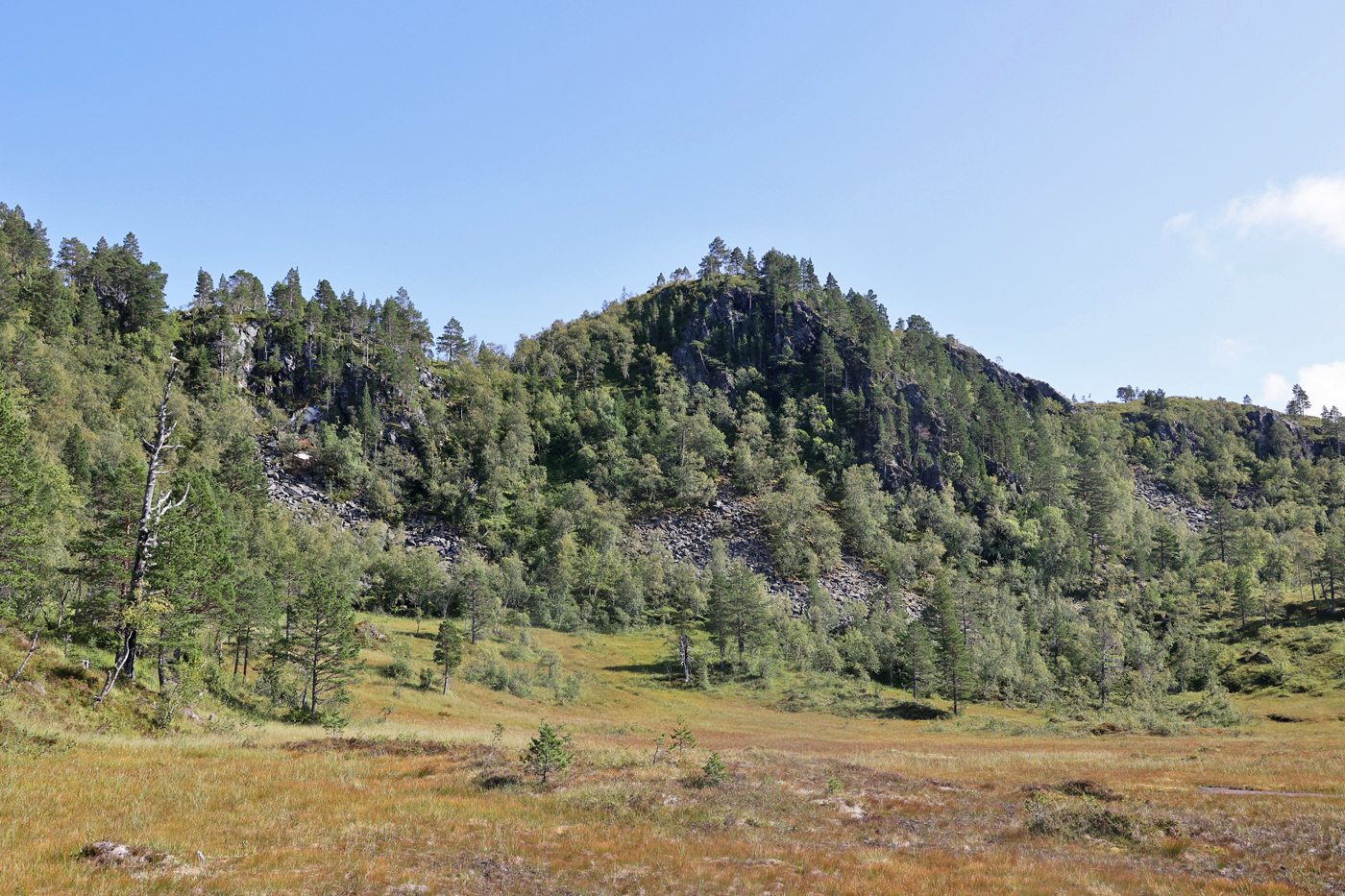 210822f-råa.jpg