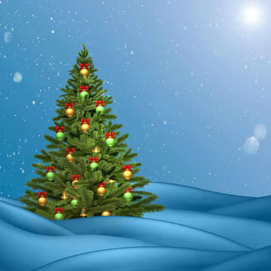 christmas-wishes-holidays-merry-christmas-design-christmas-tree-christmas-decoration-spruce-sky-fir-tree-pine-family-conifer-christmas-ornament-evergreen-winter-computer-wallpaper-pine-holiday-decor-1451919