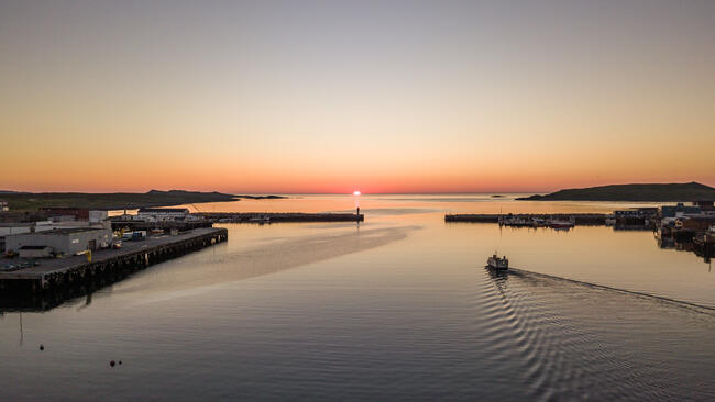 Vardø havn i solnedgang