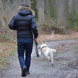 Foto av person på tur med hund