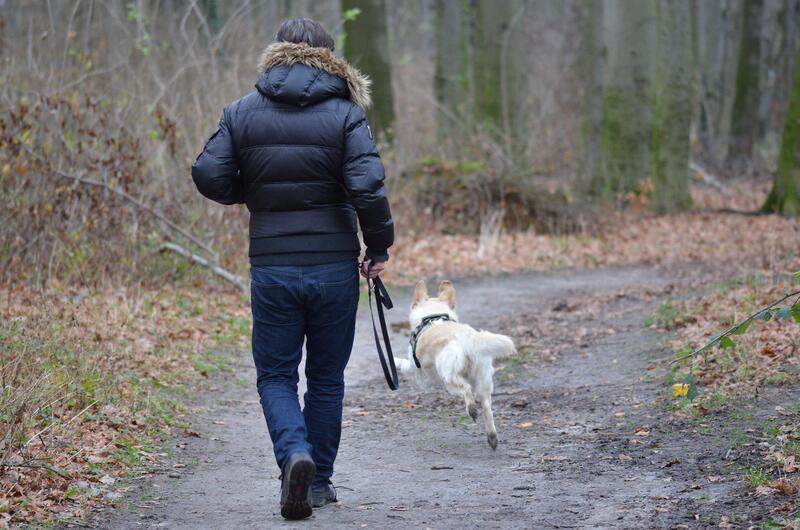 Foto av person på tur med hund