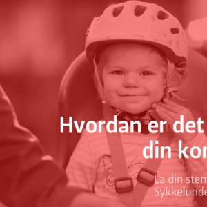 Sykkelundersøkelse Ringsaker