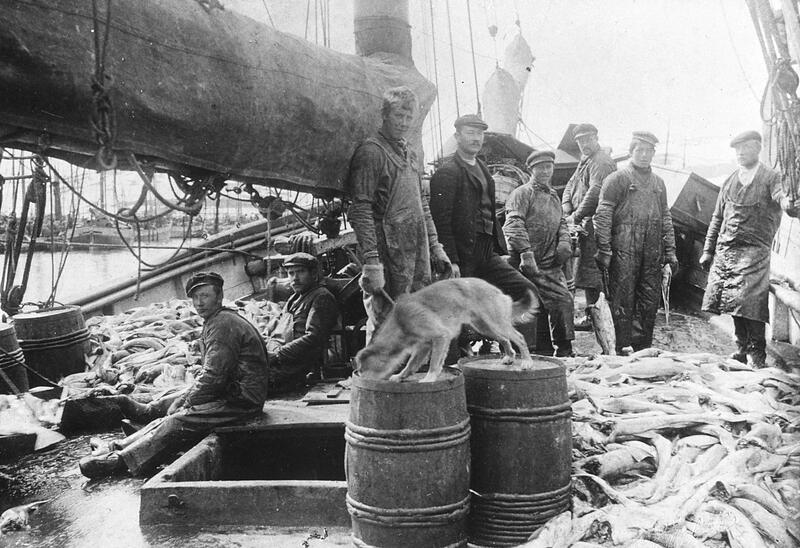 0724 a Tema Bacalao (21) (1)[1]